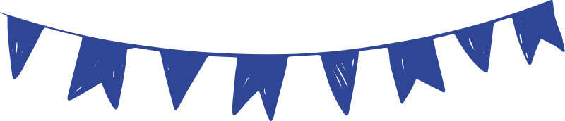Bandeira do Arraiá