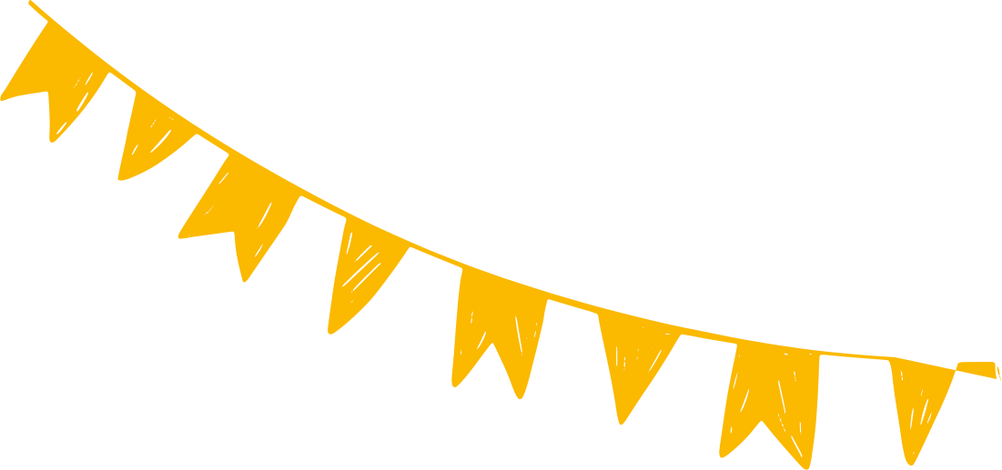 Bandeira do Arraiá