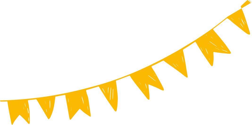 Bandeira do Arraiá